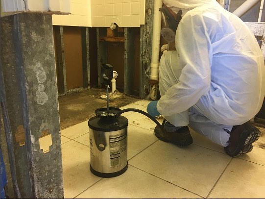Exposed air duct runs — the same kind of ductwork where a dead critter can go unnoticed